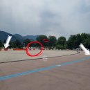 남도전기 - 마포구 월드컵로25길 4 | 6월 꽃축제 가평 자라섬 남도 꽃정원 '자라섬 꽃 페스타' 솔직 후기, 주차 정보