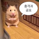 벌써 6개월이나 지났다는 사실 (6)