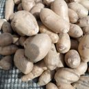 구현농장 이미지