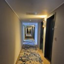 더잭슨나인스호텔주식회사 | 춘천 M83잭슨 호텔 솔직후기 잭슨나인스 에스턴 호텔 체크사항