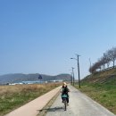 자연을 닮은 소박한 집 | 경주 타실라 이용 형산강 자전거 타기 /자연을 닮은 소박한 집 카페 후기