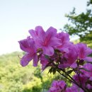 미륵산 심곡사 - 1332 | 미륵산 심곡사