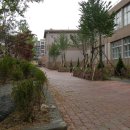 서대전초등학교 이미지