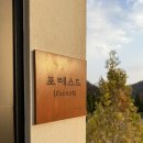 어떤하루펜션 | [남양주] 감성 펜션 어떤하루 포레스트동 독채 숙박 후기