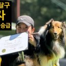 실험보감