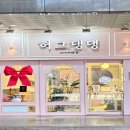 허그댕댕 이미지