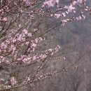 강마을 풍경 이미지