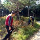 우성환경자원 이미지