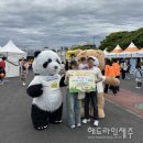 2025 성안올레 걷기 축제 이미지