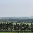 다모리네 이미지