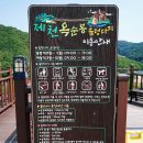 옥순봉 출렁다리 관광안내소 | 충북 제천 여행 가볼만한곳 옥순봉출렁다리 입장료