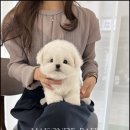 츄스타일