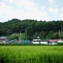 우리들부동산중개사무소 이미지