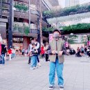채원플라워 이미지