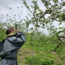진천군농업기술센터 이미지