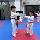 TM 태권도장 네이버블로그