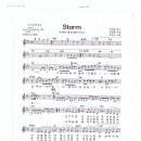 루머스 / Storm 악보 이미지