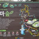 기장도예관광힐링촌 테마숲 이미지