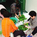 산록가든 이미지