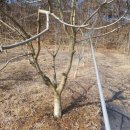 청태농장 이미지