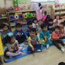 산에나무 이미지