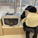 내포조은동물병원 | [내포동물병원] 내포 조은동물병원 고양이 건강검진 후기