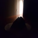 연세대학교박물관 이미지