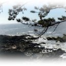 우공이산 이미지