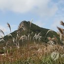 은빛축산 이미지