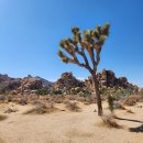 땅솔별 | 그랜드캐니언 투어 1월 2월 겨울 후기 그랜드캐년 날씨 옷차림 위치