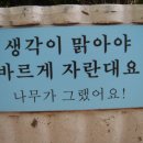 도원초등학교 이미지