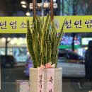 청연염소골 이미지