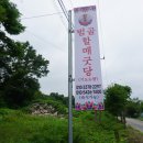 감바위산(308m) 새산(212m) 성재산(154m) △(공주449)(102m) 무동산(113m)/ 충남 공주/논산 이미지