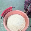 땅벌방앗간 이미지