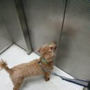 수원종합동물병원 이미지