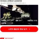 루이비스컨벤션연회