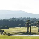 해비치cc 이미지