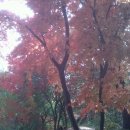 당곡고등학교 이미지