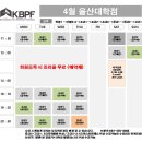 대한폴댄스연맹학원