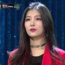 앨리스 핏 이미지