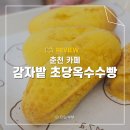 춘천 카페 감자밭 신제품 초당옥수수빵 후기 감자빵 애견동반