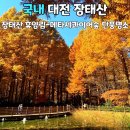 11/16(토) 장태산 자연휴양림&상소동 산림욕장 이미지