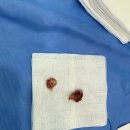 로얄동물외과수술센터 이미지