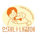 언제나 내곁에 이미지