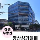 메디와이즈 이미지