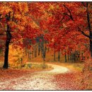 MEMO-메모 이미지