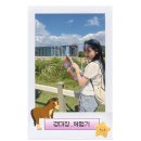 [과천/렛츠런파크 서울] 경마장에서 도파민 과다충전하기 (1등 경주마 고르는 비법──☆*:・ﾟ)