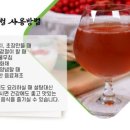 최인숙 농장 네이버블로그