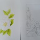 어반드로잉 이미지