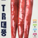 대풍농자재 이미지